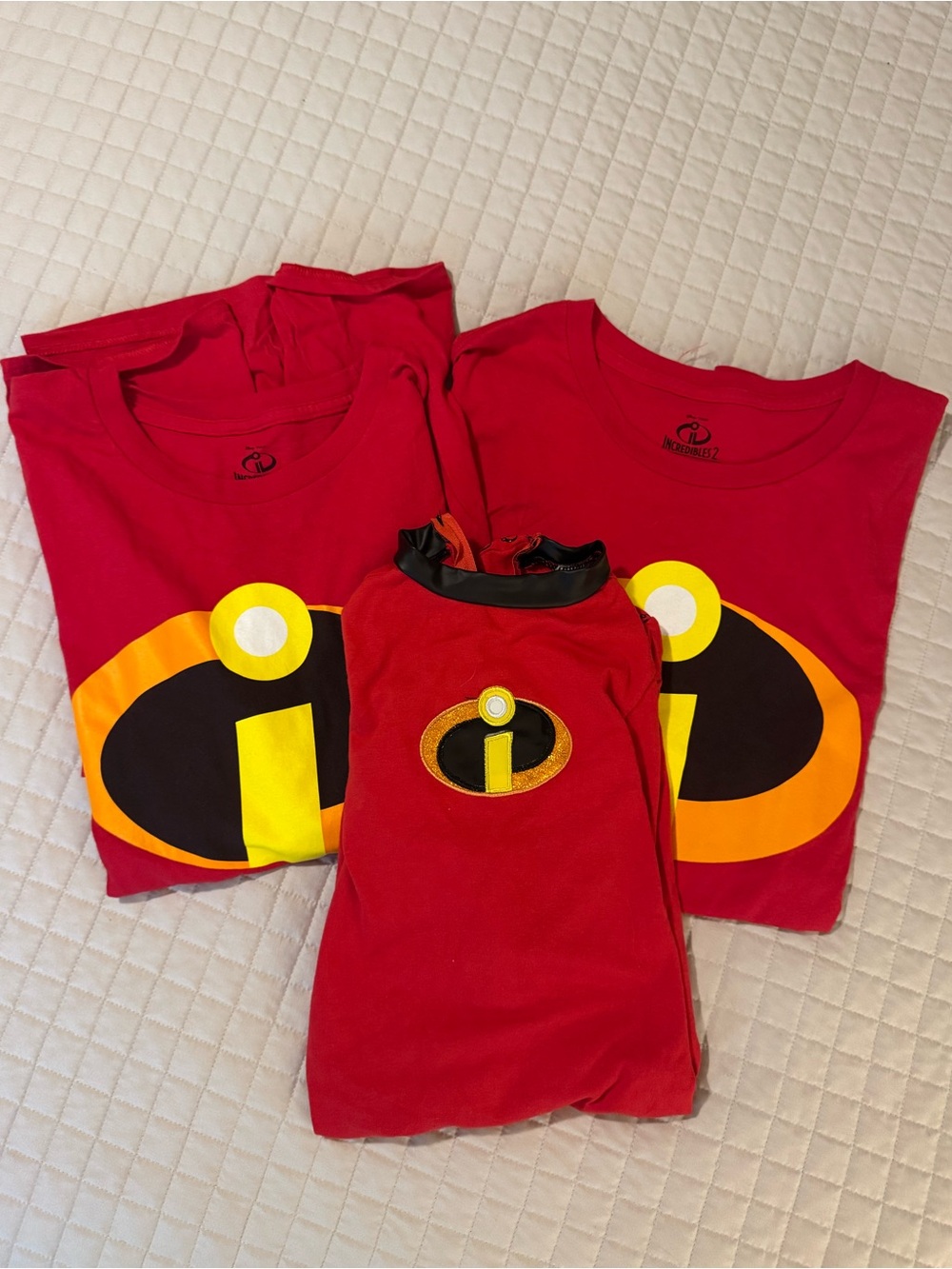 Incredible costumes for the family